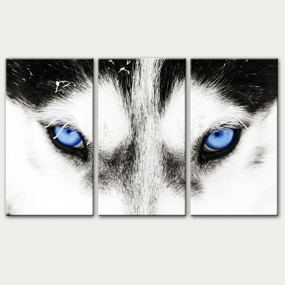 3 Panels Siberian husky Wall Art Canvas Prints Wolf's Eyes Canvas Paintings On The Wall Animals Modular Pictures Home Decoration
3 Panels Siberian husky Wall Art Canvas Prints Wolf's Eyes Canvas Paintings On The Wall Animals Modular Pictures Home Decoration