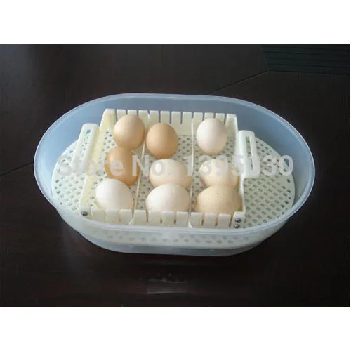 1pc JN12 Mini Automatic digital egg incubator hatcher brooder Small egg automatic incubator 110/220V
1pc JN12 Mini Automatic digital egg incubator hatcher brooder Small egg automatic incubator 110/220V