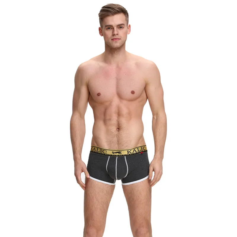 PYONGRAINS Brand Boxer Men U Pouch Underwear Sexy Underpants Cueca Cotton Male Panties Pants Trunks Cueca Boxer Shorts Hot Sale
PYONGRAINS Brand Boxer Men U Pouch Underwear Sexy Underpants Cueca Cotton Male Panties Pants Trunks Cueca Boxer Shorts Hot Sale