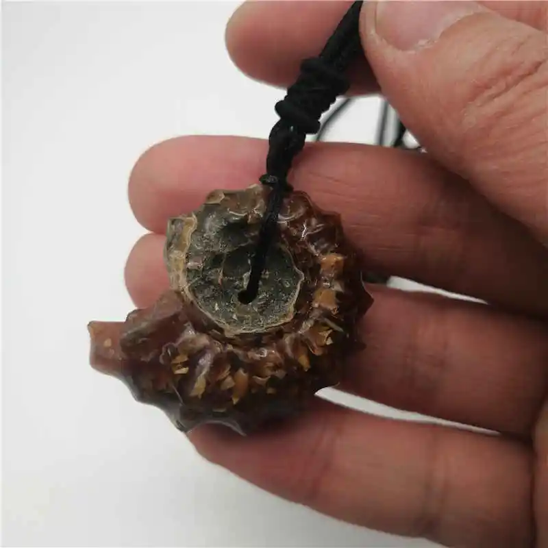 Wholesale 1PC Natural Horn Screw Super Jades Conch Thorn Spot Color Bolt Jades pendant For Christmas Gift
Wholesale 1PC Natural Horn Screw Super Jades Conch Thorn Spot Color Bolt Jades pendant For Christmas Gift