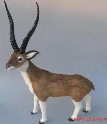 simulation cute antelope model polyethylene&furs antelope model home decoration props ,model gift d551
simulation cute antelope model polyethylene&furs antelope model home decoration props ,model gift d551