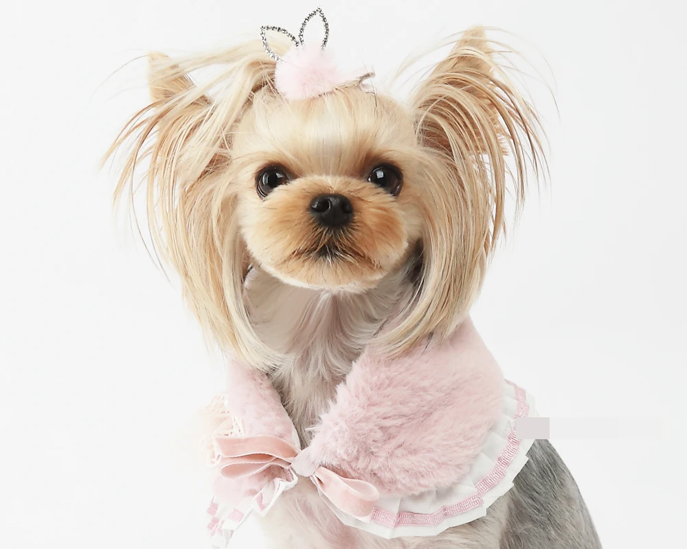 Кошечка для домашних животных с милыми заячьими ушками, декоративная заколка для волос, аксессуары для волос
Кошечка для домашних животных с милыми заячьими ушками, декоративная заколка для волос, аксессуары для волос