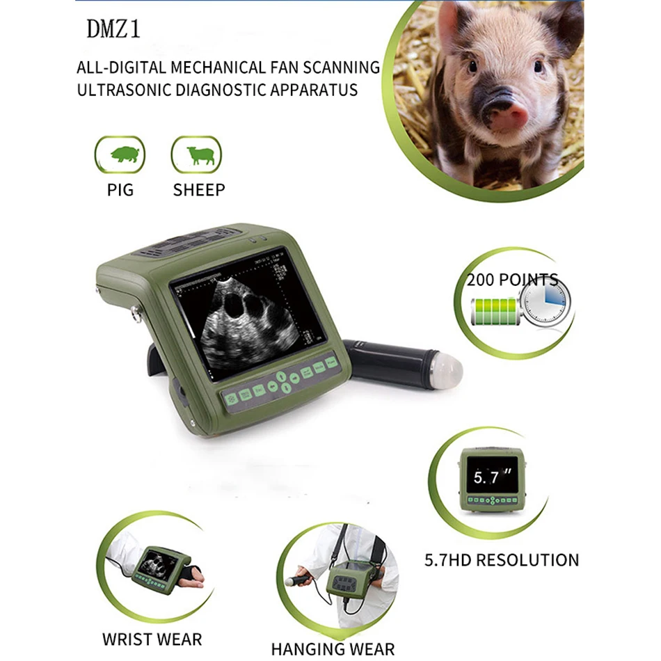 DMZ1 Veterinary B Ultrasound Pig Cow Sheep Animal Ultra Digital Pregnancy Diagnostic Instrument Medical Tools
DMZ1 Veterinary B Ultrasound Pig Cow Sheep Animal Ultra Digital Pregnancy Diagnostic Instrument Medical Tools