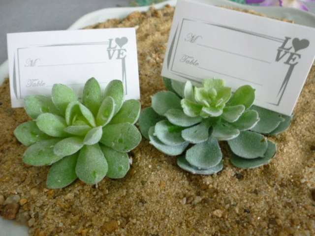 Factory t Selling Party decoration new Succulent Place Card Holder office table decoration Meaty plant simulation 20pcs
Factory t Selling Party decoration new Succulent Place Card Holder office table decoration Meaty plant simulation 20pcs