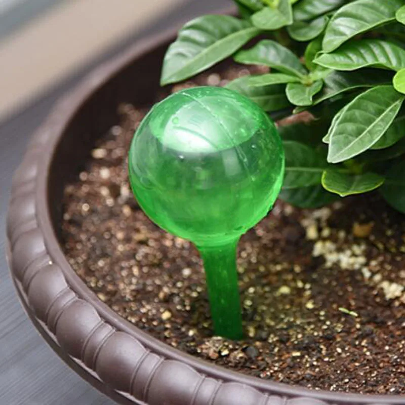 10Pcs Plant Auto Waterer Flower Watering For School Office Home Travelling Drip Plastic Mini Watering Bottles Garden Accessories
10Pcs Plant Auto Waterer Flower Watering For School Office Home Travelling Drip Plastic Mini Watering Bottles Garden Accessories