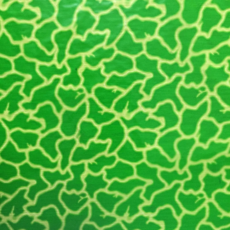 Free shipping 0.5mX2m green lightning transfer printing film CSSW173-2hydrographics film
Free shipping 0.5mX2m green lightning transfer printing film CSSW173-2hydrographics film