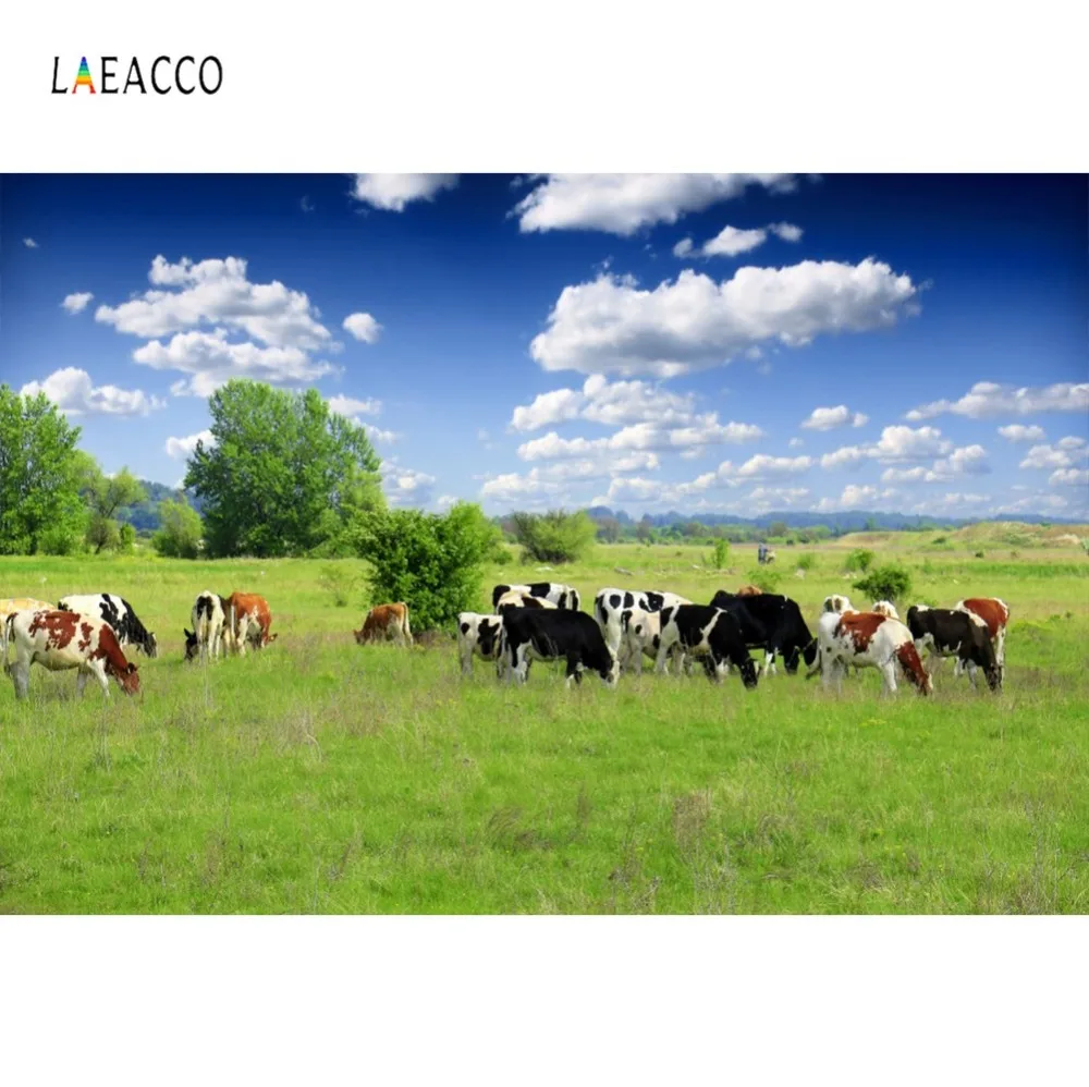 Фон для фотографий Laeacco фотосессия фотостудия с изображением фермы зеленого пастбища коровы голубого неба облачно
Фон для фотографий Laeacco фотосессия фотостудия с изображением фермы зеленого пастбища коровы голубого неба облачно
