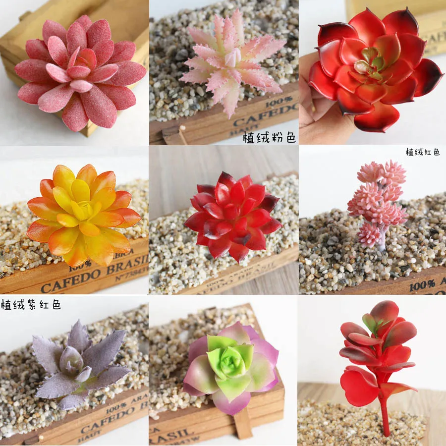 10 шт., красные искусственные пластиковые суккуленты из пвх для украшения дома, офиса, отеля, бонсай, сделай сам
10 шт., красные искусственные пластиковые суккуленты из пвх для украшения дома, офиса, отеля, бонсай, сделай сам