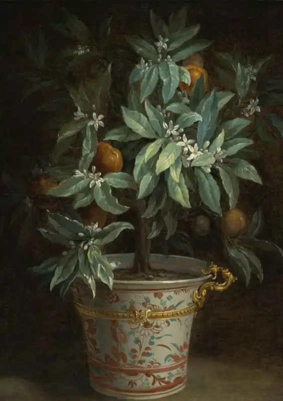 100% handmade oil painting on linen canvas,The Orange Tree by Jean-Baptiste Oudry,ANIMAL,Museum quaity
100% handmade oil painting on linen canvas,The Orange Tree by Jean-Baptiste Oudry,ANIMAL,Museum quaity