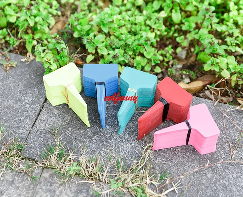 2000Pcs/lot 6x10cm Plastic Plant T-type Tags Markers Nursery Garden Decoration Tags for Plants Garden Supplies F060102
2000Pcs/lot 6x10cm Plastic Plant T-type Tags Markers Nursery Garden Decoration Tags for Plants Garden Supplies F060102