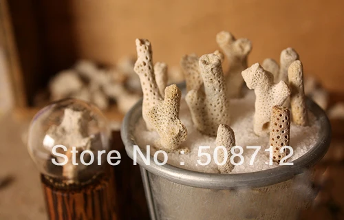 Free shippin!!! 360g/lot natural color Coral branch Stuffing/ filler For Glass Cover Vials Pendant
Free shippin!!! 360g/lot natural color Coral branch Stuffing/ filler For Glass Cover Vials Pendant