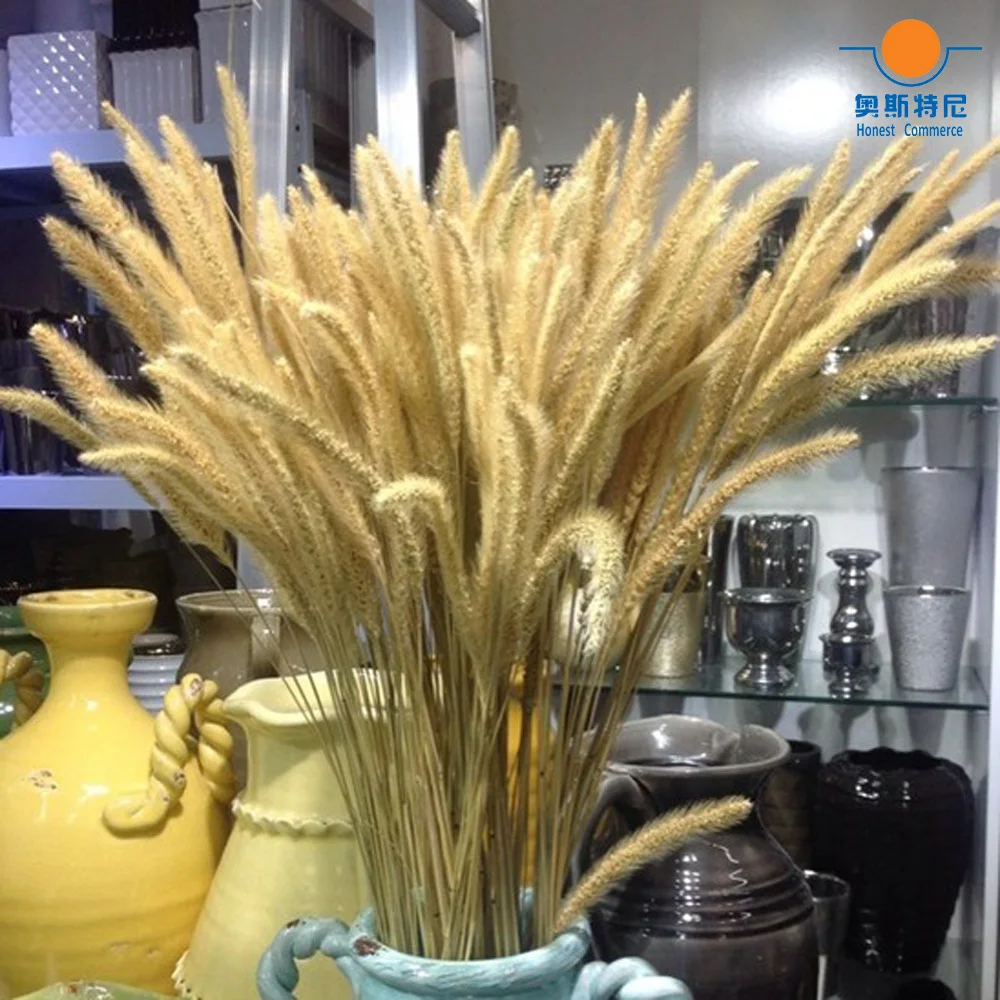 50pcs dried natural flower bouquets raw color dried dog's tail grass&Setaria viridis&green bristlegrass bouquets bunches
50pcs dried natural flower bouquets raw color dried dog's tail grass&Setaria viridis&green bristlegrass bouquets bunches