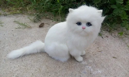 creative simulation white cat model polyethylene&fur sitting white cat doll gift about 19x15cm 2021
creative simulation white cat model polyethylene&fur sitting white cat doll gift about 19x15cm 2021