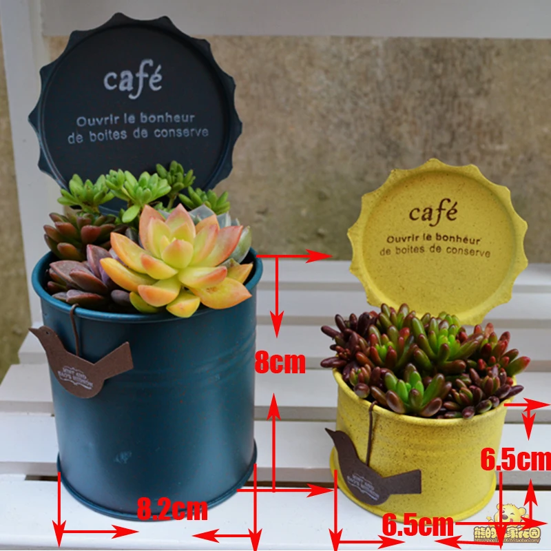 Home Decor Flower Pot For Home Decor Garden Flower Pot Good Quality Flower Pot Different Color Flower Pot
Home Decor Flower Pot For Home Decor Garden Flower Pot Good Quality Flower Pot Different Color Flower Pot