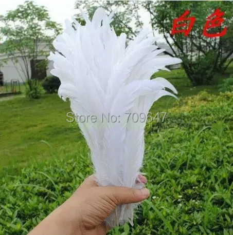 White Feather ! 100Pcs/Lot! 10-12inches 25-30cm White COQUE TAIL FEATHERS for millinery,crafts,Supplies
White Feather ! 100Pcs/Lot! 10-12inches 25-30cm White COQUE TAIL FEATHERS for millinery,crafts,Supplies
