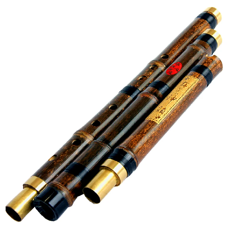 High Quality Professional Chinese Vertical Bamboo Flute Xiao Woodwind Musical Instrument Key of F/G Dizi 3 Section Flauta Xiao
High Quality Professional Chinese Vertical Bamboo Flute Xiao Woodwind Musical Instrument Key of F/G Dizi 3 Section Flauta Xiao
