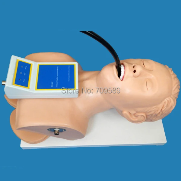 Vivid Adult Intubation Head, Intubation trainer, Tracheal Intubation Training Model
Vivid Adult Intubation Head, Intubation trainer, Tracheal Intubation Training Model