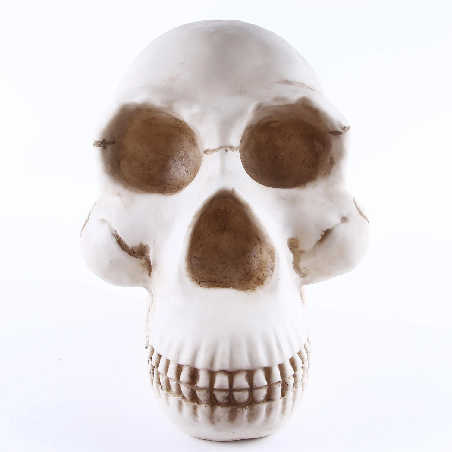 Moquerry Gorilla skull animal skull model resin head props indoor office decoration furnishings Halloween Decoracion Hogar
Moquerry Gorilla skull animal skull model resin head props indoor office decoration furnishings Halloween Decoracion Hogar
