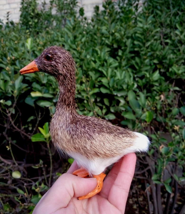 small cute simulation duck toy polyethylene&furs lovely duck model gift about 13x12x6.5cm 1058
small cute simulation duck toy polyethylene&furs lovely duck model gift about 13x12x6.5cm 1058