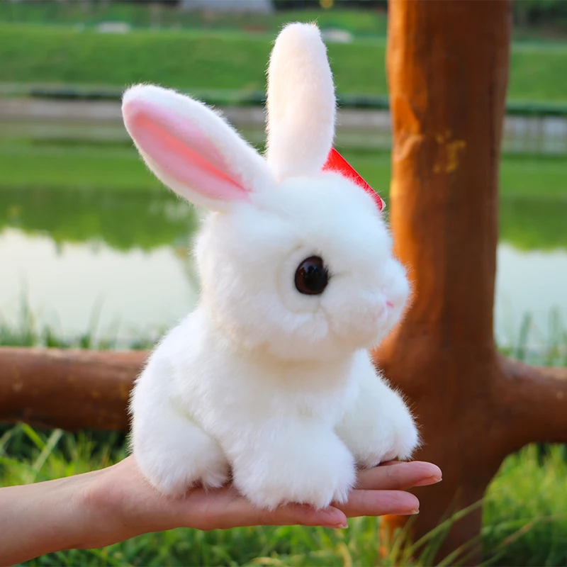 lovely cartoon rabbit about 20cm soft doll , white rabbit plush toy baby toy birthday gift h0758
lovely cartoon rabbit about 20cm soft doll , white rabbit plush toy baby toy birthday gift h0758