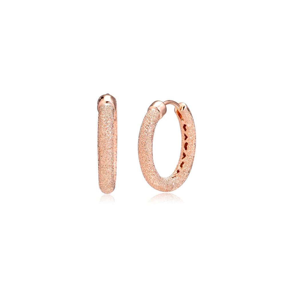 Rose Matte Brilliance Hoop Earrings Sterling silver Jewelry Earrings For Woman Make Up Valentine's day Gift
Rose Matte Brilliance Hoop Earrings Sterling silver Jewelry Earrings For Woman Make Up Valentine's day Gift