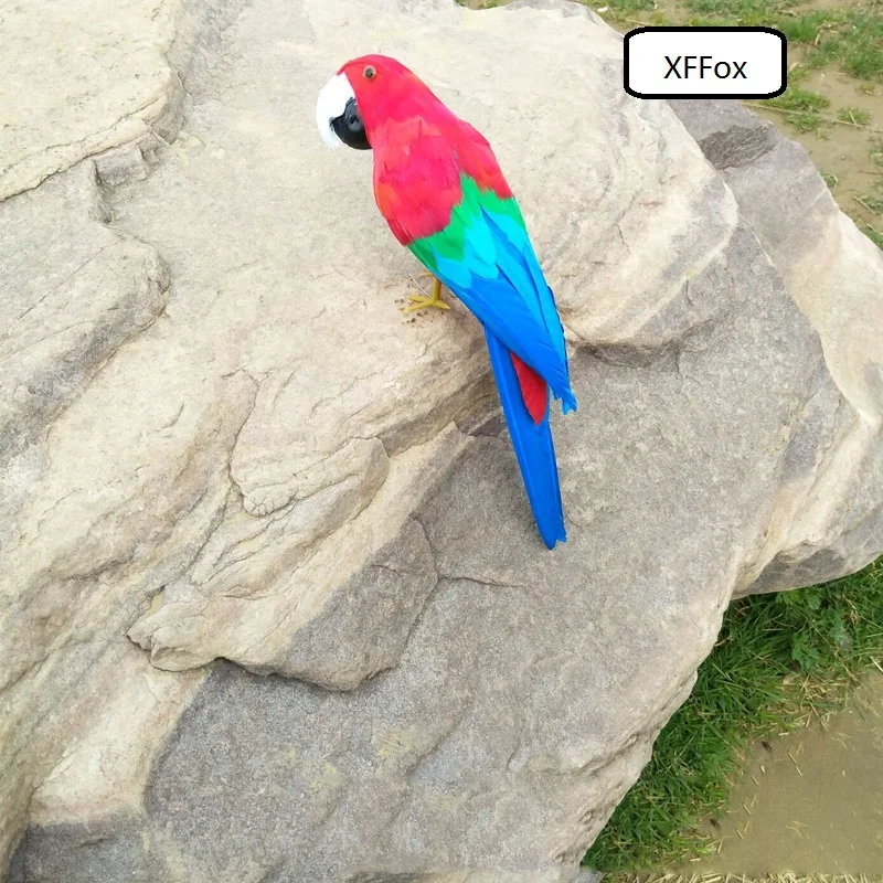 new real life red&light blue parrot model foam&feather simulation parrot bird gift about 30cm xf0128
new real life red&light blue parrot model foam&feather simulation parrot bird gift about 30cm xf0128