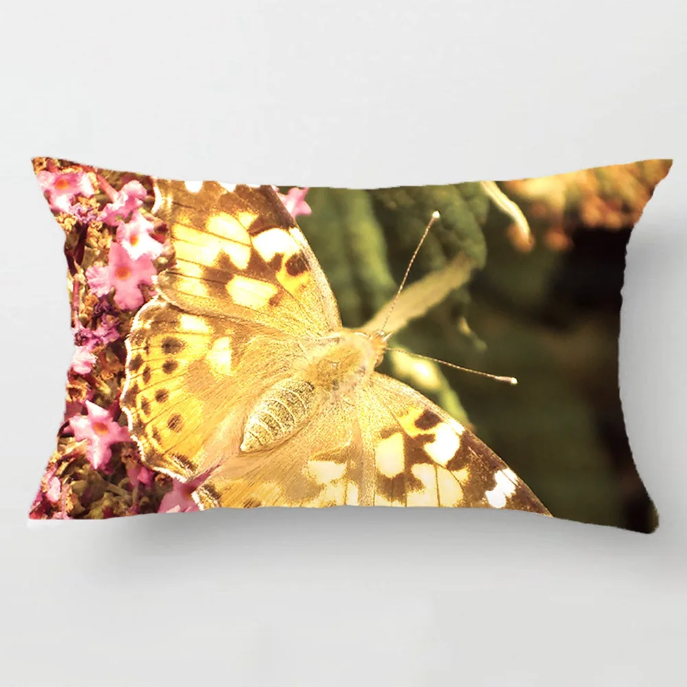 Painted Lady Butterfly Cushion Throw Pillow Case Decorative Cushion Cover Pillowcase Customize Gift By LVSURE For Car Sofa Seat
Painted Lady Butterfly Cushion Throw Pillow Case Decorative Cushion Cover Pillowcase Customize Gift By LVSURE For Car Sofa Seat