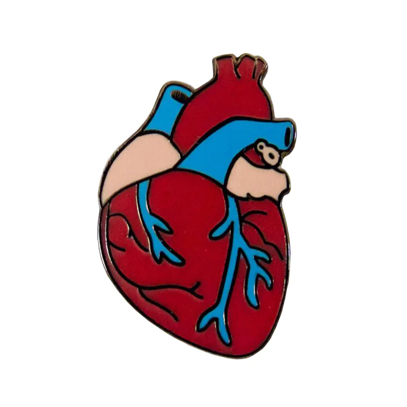 Human Anatomical Heart Enamel Pin 
Human Anatomical Heart Enamel Pin