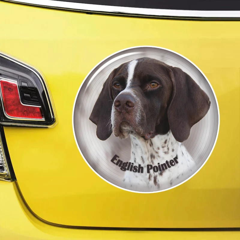 S62151# English Pointer Dog Self-adhesive Decal Car Sticker Waterproof Auto Decors on Bumper Rear Window Laptop Choose Size
S62151# English Pointer Dog Self-adhesive Decal Car Sticker Waterproof Auto Decors on Bumper Rear Window Laptop Choose Size