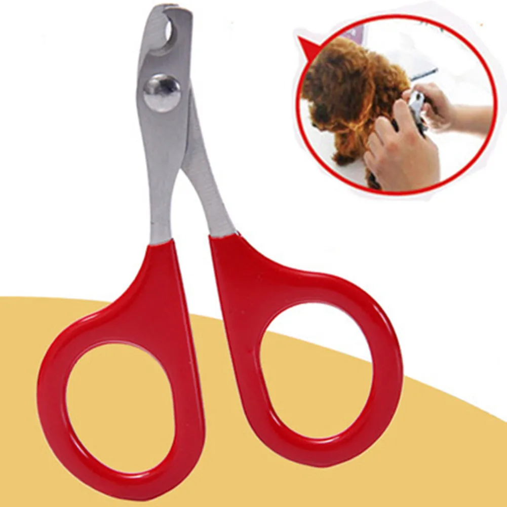 Pet Products Pet Accessories Pet Claw Care Tools Claw Clippers Dog Scissors For Nails Cat Cleaning Tools Dog Supplies
Pet Products Pet Accessories Pet Claw Care Tools Claw Clippers Dog Scissors For Nails Cat Cleaning Tools Dog Supplies