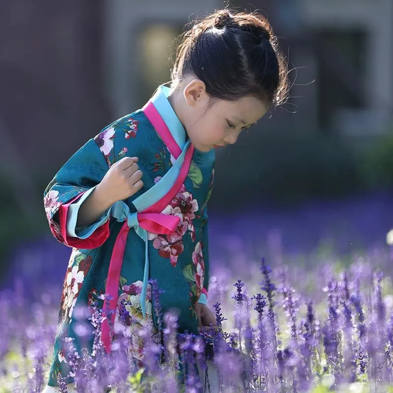 Green Floral Baby Girls Hanfu Chinese Style Birthday Party Dress Vintage Stage Show Dress Children Photography Dress Daily Wear
Green Floral Baby Girls Hanfu Chinese Style Birthday Party Dress Vintage Stage Show Dress Children Photography Dress Daily Wear