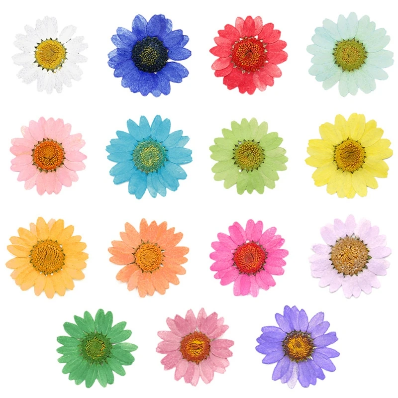 100Pcs Real Natural Dried Pressed Flowers White Daisy Pressed Flower for Resin Jewelry Nail Stickers Makeup Art Crafts
100Pcs Real Natural Dried Pressed Flowers White Daisy Pressed Flower for Resin Jewelry Nail Stickers Makeup Art Crafts