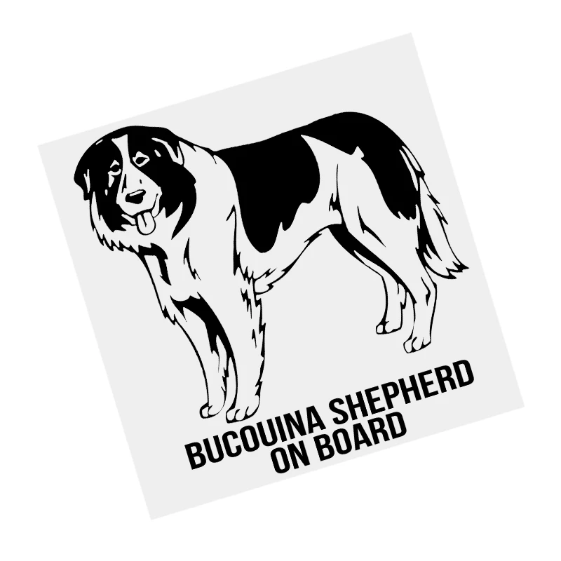 S61495# Bucovina Shepherd Dog On Board Black Transparent Car Sticker Vinyl Decal Waterproof Decors for Motorcycle Bumper Laptop
S61495# Bucovina Shepherd Dog On Board Black Transparent Car Sticker Vinyl Decal Waterproof Decors for Motorcycle Bumper Laptop