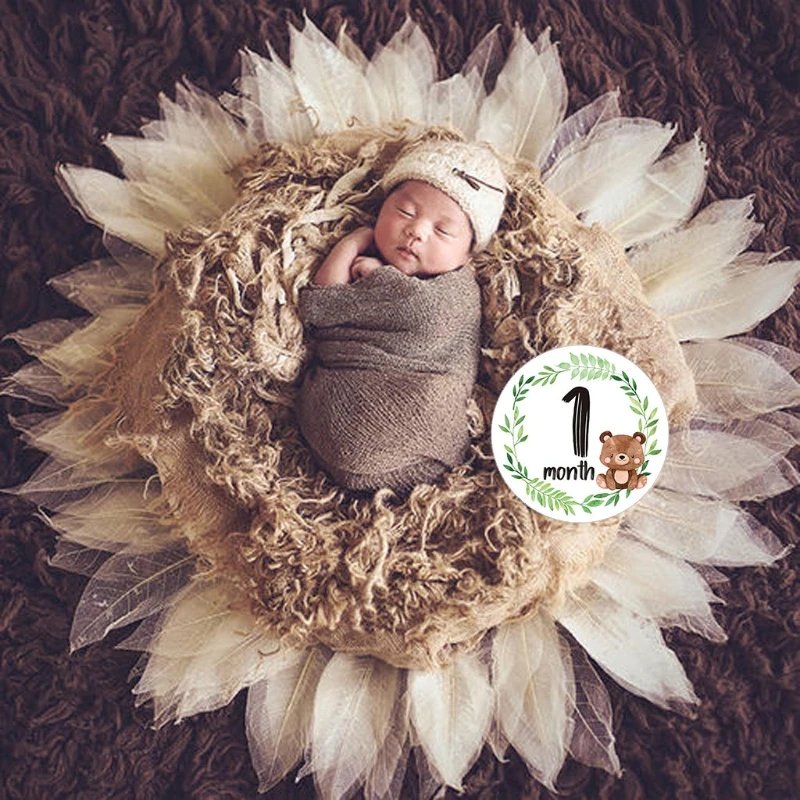 D0AF 12 Pcs/Set Newborn Milestone Memorial Month Stickers Floral Baby Monthly Stickers Photography Commemorative Card
D0AF 12 Pcs/Set Newborn Milestone Memorial Month Stickers Floral Baby Monthly Stickers Photography Commemorative Card