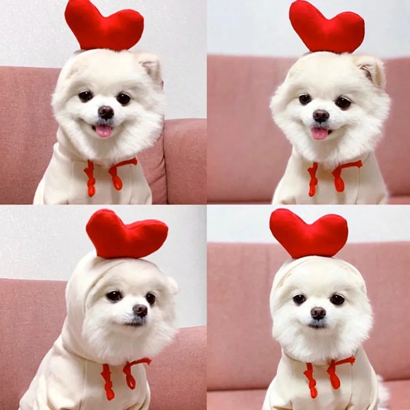 Cute Pet Dog Clothes For Small Dog Clothing Warm Clothing for Cat Coat Puppy Outfit Pet Clothes for Large Cat Hoodies Chihuahua
Cute Pet Dog Clothes For Small Dog Clothing Warm Clothing for Cat Coat Puppy Outfit Pet Clothes for Large Cat Hoodies Chihuahua