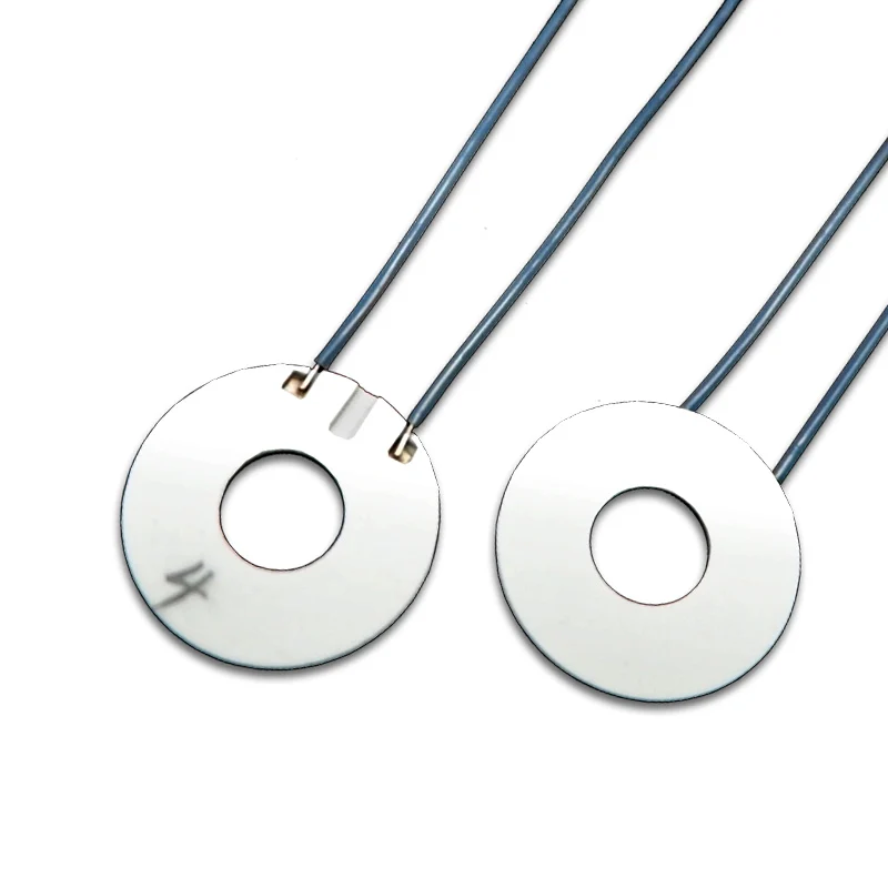 OD25-ID10 Beauty Handle Instrument Ceramic Heating Plate Alumina High Temperature Ring Heating Plate 12V24V
OD25-ID10 Beauty Handle Instrument Ceramic Heating Plate Alumina High Temperature Ring Heating Plate 12V24V