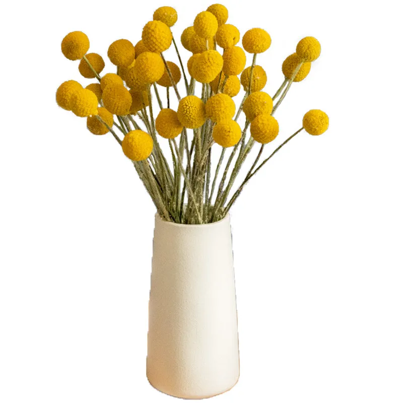 30pcs Dried Yellow Billy Balls Decor Christmas Wreath DIY Dried Flowers For Wedding Bouquet
30pcs Dried Yellow Billy Balls Decor Christmas Wreath DIY Dried Flowers For Wedding Bouquet