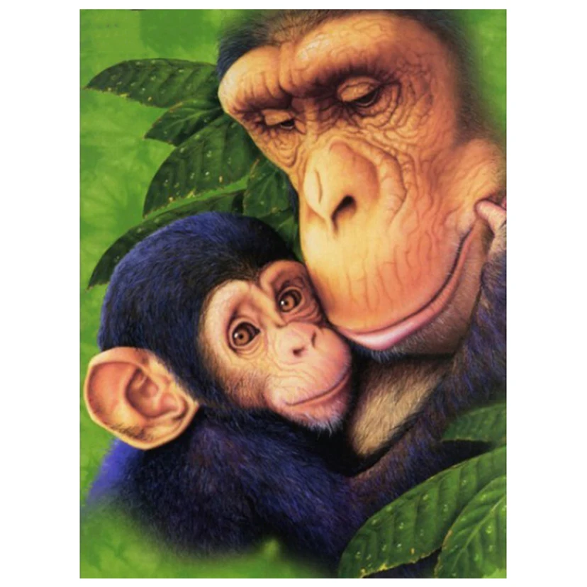 DIY Diamond Painting Orangutan Mother Decoration Home Full Square Monkey Picture Of Rhinestone Diamond Embroidery Animals FH641
DIY Diamond Painting Orangutan Mother Decoration Home Full Square Monkey Picture Of Rhinestone Diamond Embroidery Animals FH641