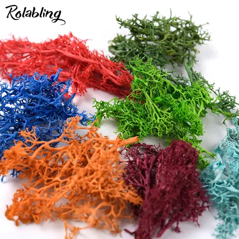 Rolabling 1 Pack Gedroogd Zeewier Nail Art Decoratie Kleurrijke 3d Natuurlijke Planten Droog Bloem Diy Stickers Manicure Accessoires