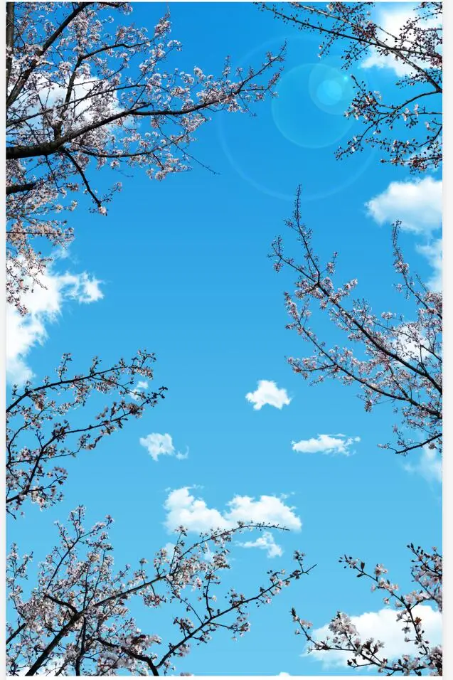 Custom Murals 3D ceilings Beautiful cherry blossom blue sky white clouds sun ceiling mural
Custom Murals 3D ceilings Beautiful cherry blossom blue sky white clouds sun ceiling mural