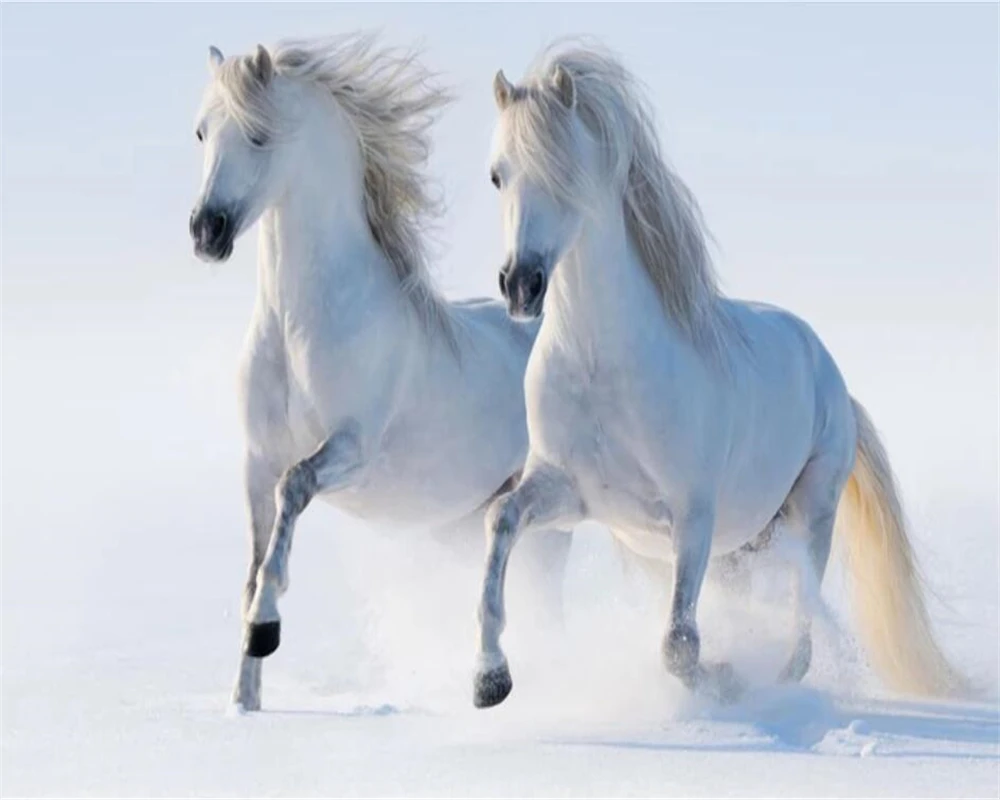 wellyu Customized large mural 3D wallpaper white horse background European style bedroom wall sofa background wallpaper 3D
wellyu Customized large mural 3D wallpaper white horse background European style bedroom wall sofa background wallpaper 3D