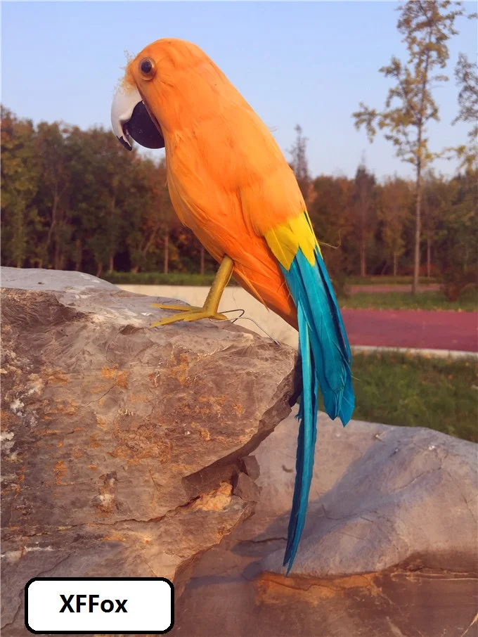 new real life orange&blue parrot model foam&feather parrot bird gift about 30cm xf2586
new real life orange&blue parrot model foam&feather parrot bird gift about 30cm xf2586