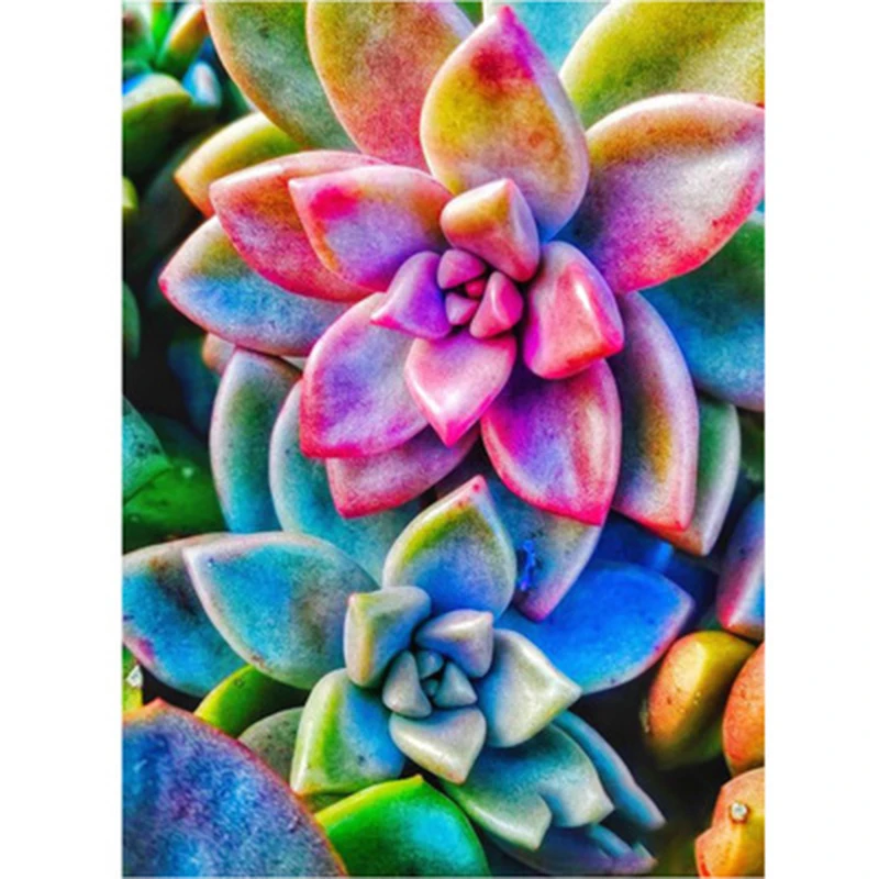 Succulent Bonsai Full Square/Round Drill Diamond Painting Plant 3D Embroidery Cross Stitch Mosaic Rhinestone Decor Picture BM205
Succulent Bonsai Full Square/Round Drill Diamond Painting Plant 3D Embroidery Cross Stitch Mosaic Rhinestone Decor Picture BM205