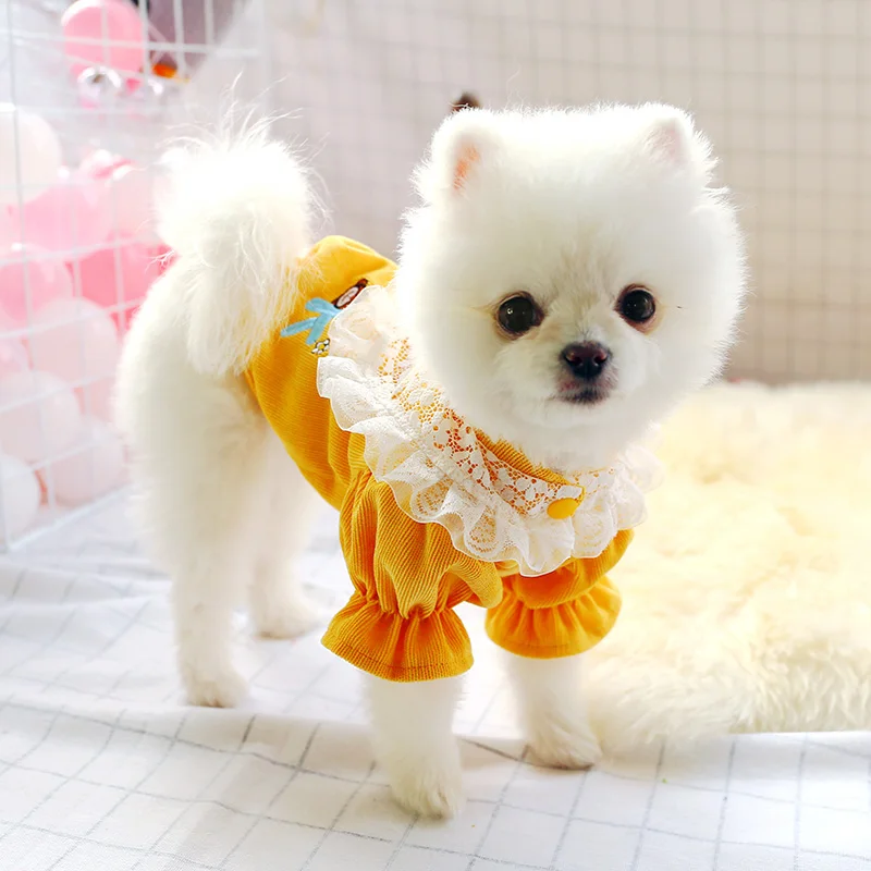 Luxury Lace Spliced Corduroy Blouses for Dog Cat Pet Shirt Top Teddy Schnauzer Chihuahua Puppy Girls Summer Princess Clothes
Luxury Lace Spliced Corduroy Blouses for Dog Cat Pet Shirt Top Teddy Schnauzer Chihuahua Puppy Girls Summer Princess Clothes