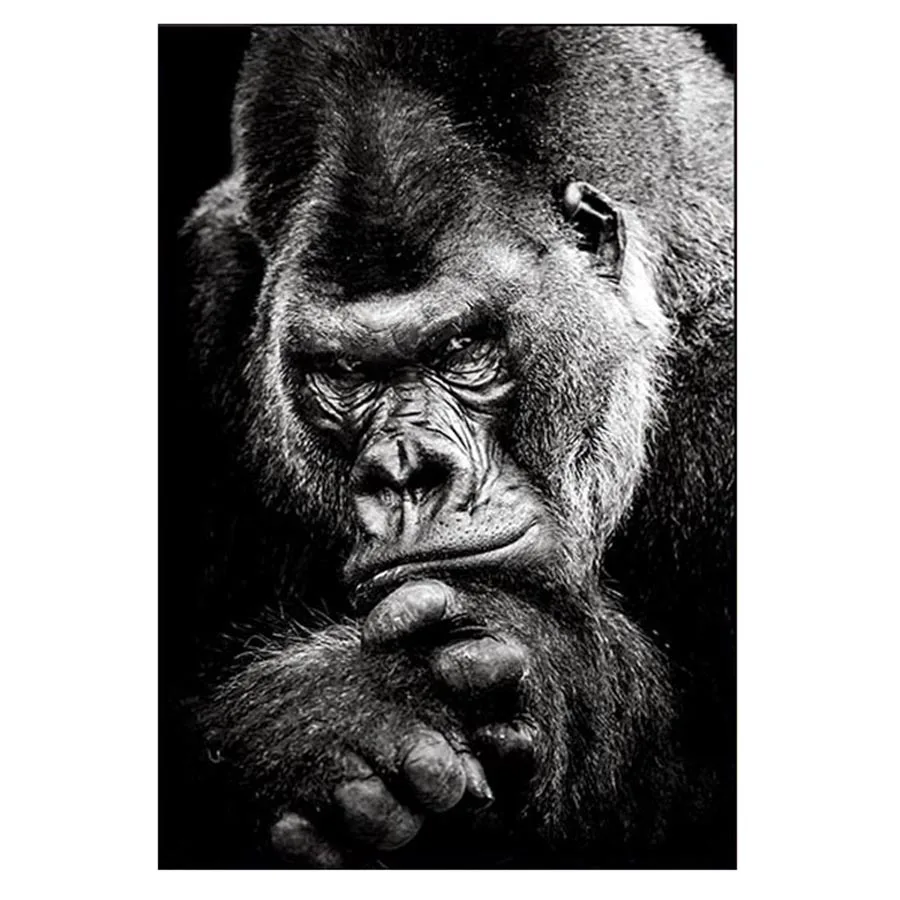 New diy diamond Ape Monkey Animal diamond painting full square/round drill diamond embroidery Xmas Black White animals
New diy diamond Ape Monkey Animal diamond painting full square/round drill diamond embroidery Xmas Black White animals