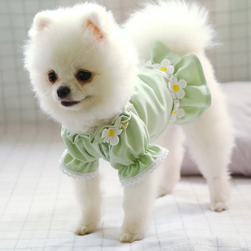 Puppy Dog Dress Thin Cute Floral Princess Ruffles Skirt for Small Dogs Cats Spring Summer Striped Buttons Teddy Chihuahua Dress
Puppy Dog Dress Thin Cute Floral Princess Ruffles Skirt for Small Dogs Cats Spring Summer Striped Buttons Teddy Chihuahua Dress