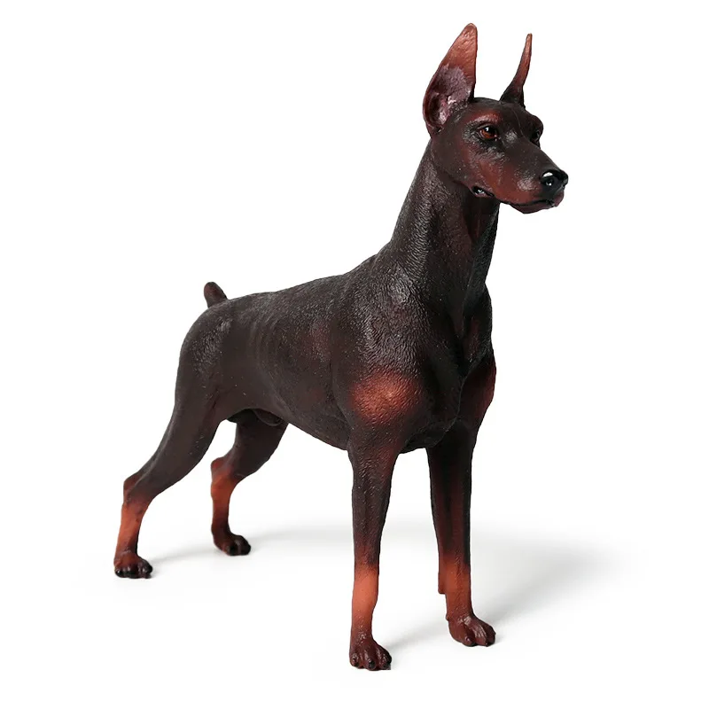Реалистичные животные, фигурки Doberman Pinscher, модель животного, охранник, собака, экшн-фигурки, высокое качество, коллекционные игрушки для детей
Реалистичные животные, фигурки Doberman Pinscher, модель животного, охранник, собака, экшн-фигурки, высокое качество, коллекционные игрушки для детей