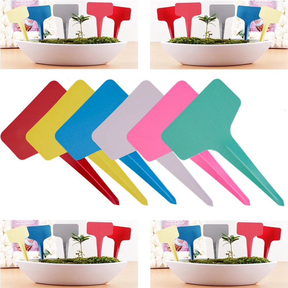 30/60PCS 6x10cm T-Type Garden Plant Tags Colorful Waterproof Labels Gardening Flowers Succulent Markers Bonsai Nursery Stakes
30/60PCS 6x10cm T-Type Garden Plant Tags Colorful Waterproof Labels Gardening Flowers Succulent Markers Bonsai Nursery Stakes