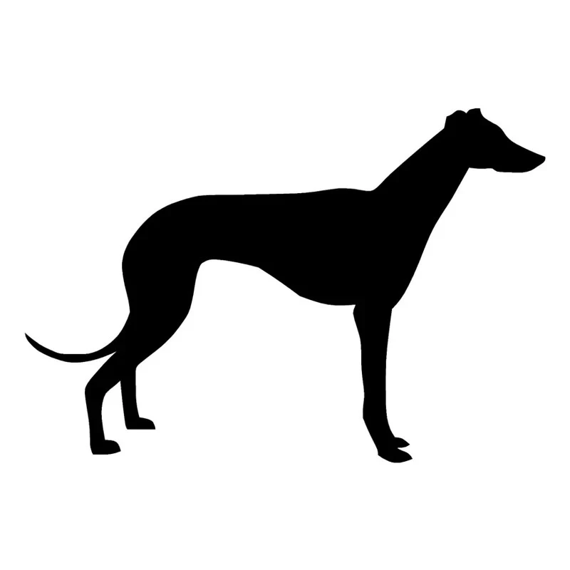 29.8*20.3CM Greyhound Dog Vinyl Decal Creative Silhouette Car Stickers Car Styling Decoration Black/Silver S1-0408
29.8*20.3CM Greyhound Dog Vinyl Decal Creative Silhouette Car Stickers Car Styling Decoration Black/Silver S1-0408