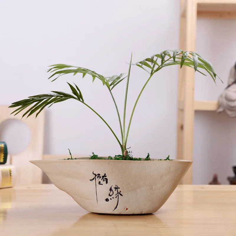 Chinese Style Stoneware Fleshy Flower Pot Creative Hydroponic Ceramic Flower Custom Green Green Copper Money Plant Flower Pot
Chinese Style Stoneware Fleshy Flower Pot Creative Hydroponic Ceramic Flower Custom Green Green Copper Money Plant Flower Pot